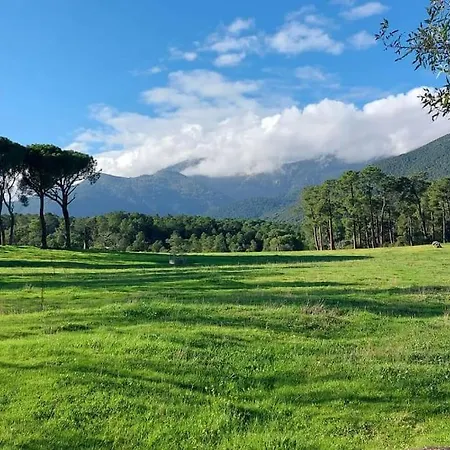 La Pinara بيت للعطل