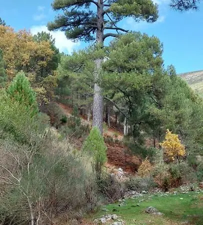 La Pinara Holiday home
